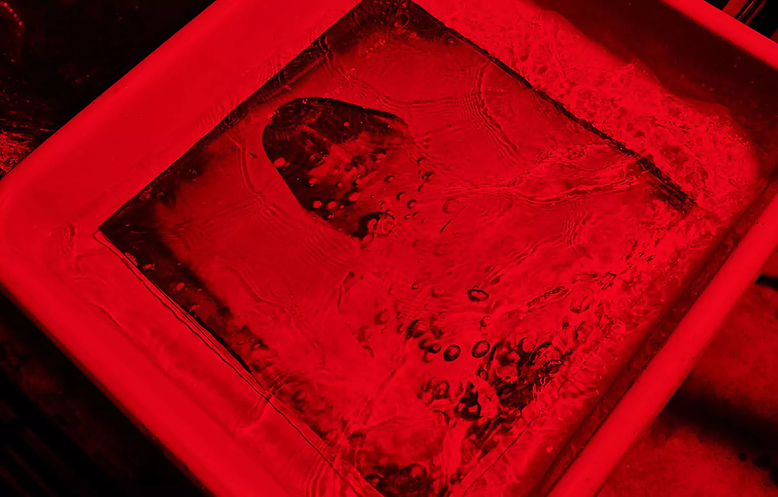 Collodion photography setup portrait, and processing wet plate